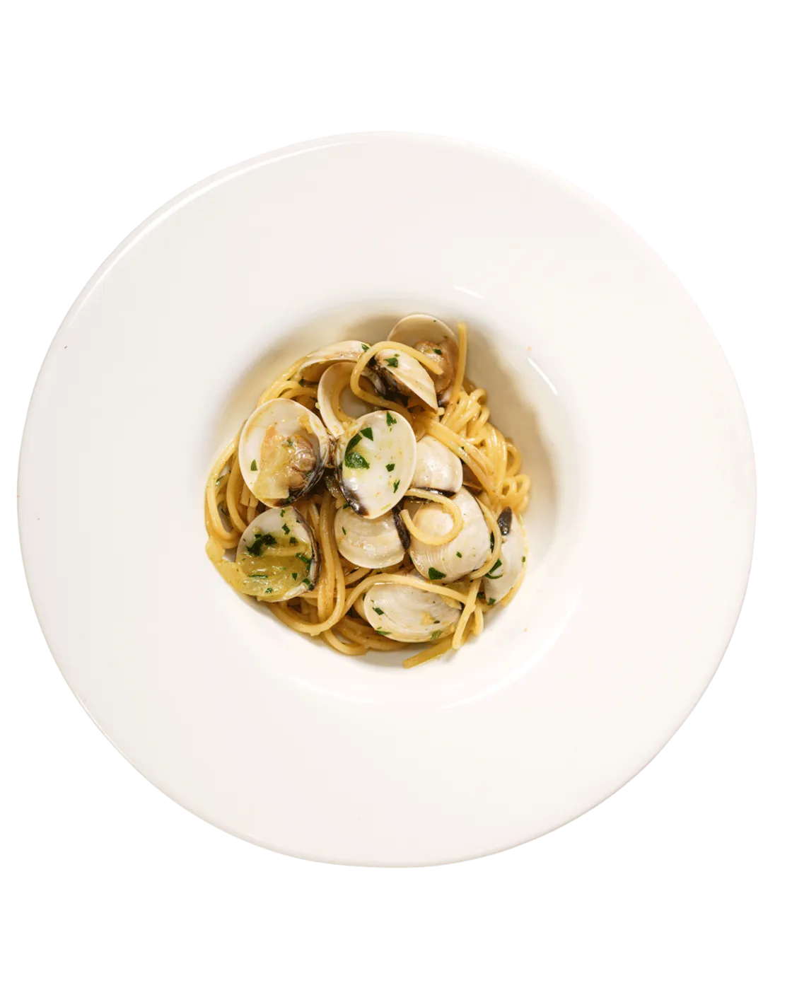 Spaghetti alle vongole mit frischen Venusmuscheln